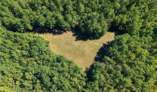 Photo #9 of 4416 McConnell, McLeansville, NC 60.6 acres