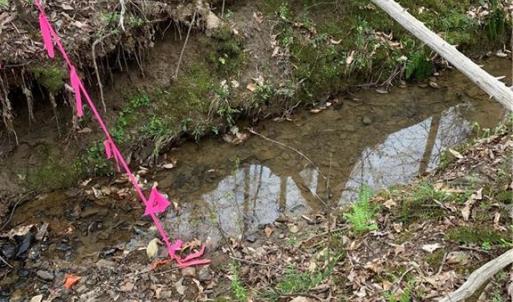 Photo #3 of Jess Smith, Sophia, NC 2.8 acres