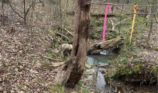 Photo #5 of Jess Smith, Sophia, NC 2.8 acres