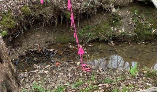 Photo #4 of Jess Smith, Sophia, NC 2.8 acres