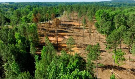 Photo #2 of Carson, Cleveland, NC 9.7 acres