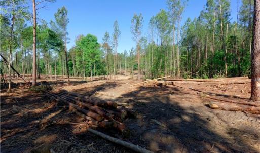 Photo #7 of Carson, Cleveland, NC 9.7 acres
