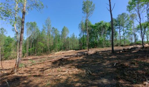 Photo #3 of Carson, Cleveland, NC 9.7 acres
