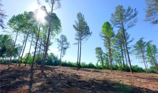 Photo #5 of Carson, Cleveland, NC 9.7 acres