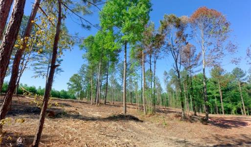 Photo #8 of Carson, Cleveland, NC 9.7 acres