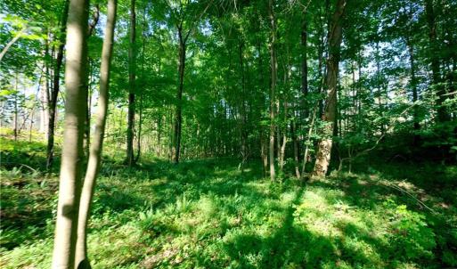 Photo #6 of Carson, Cleveland, NC 10.1 acres