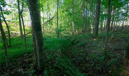 Photo #7 of Carson, Cleveland, NC 10.1 acres