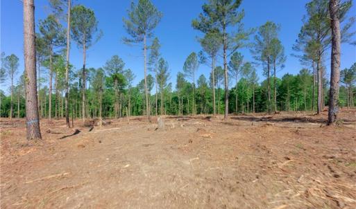 Photo #4 of Carson, Cleveland, NC 10.1 acres