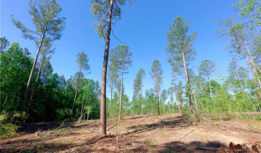 Photo #8 of Carson, Cleveland, NC 10.1 acres