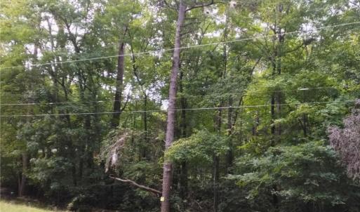 Photo #6 of 600 Crowder, Madison, NC 4.6 acres