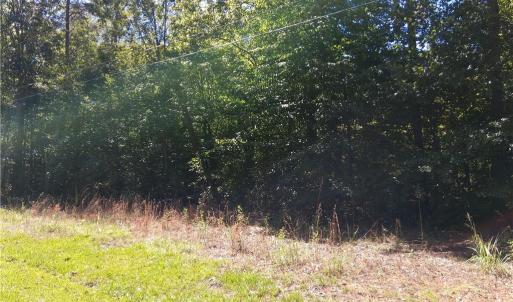 Photo #3 of 600 Crowder, Madison, NC 4.6 acres