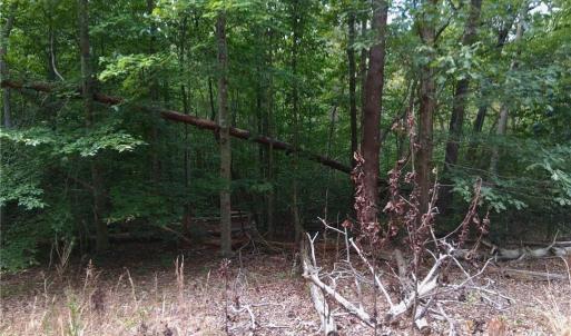 Photo #9 of 600 Crowder, Madison, NC 4.6 acres