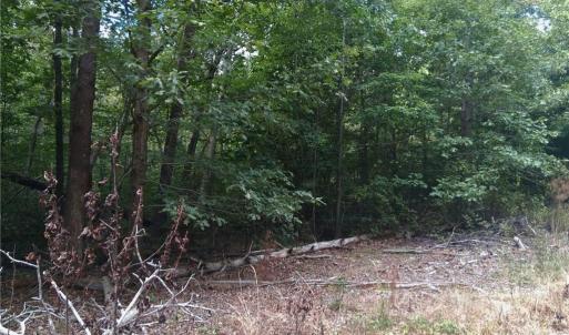 Photo #10 of 600 Crowder, Madison, NC 4.6 acres