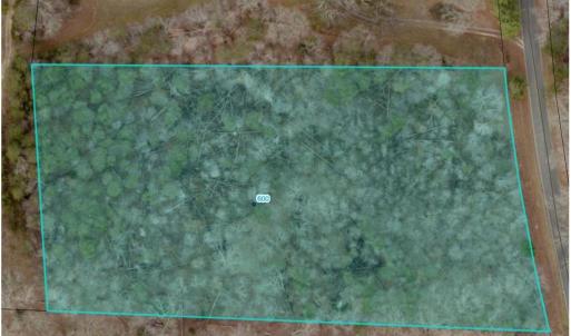 Photo #11 of 600 Crowder, Madison, NC 4.6 acres