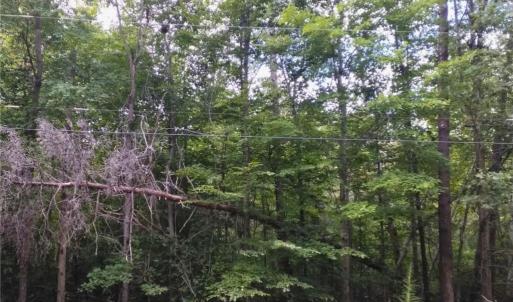 Photo #8 of 600 Crowder, Madison, NC 4.6 acres