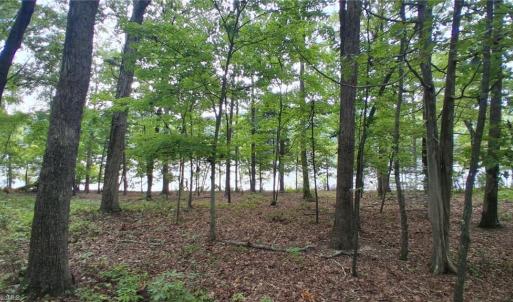 Photo #12 of 497 Harbor, Lexington, NC 0.9 acres