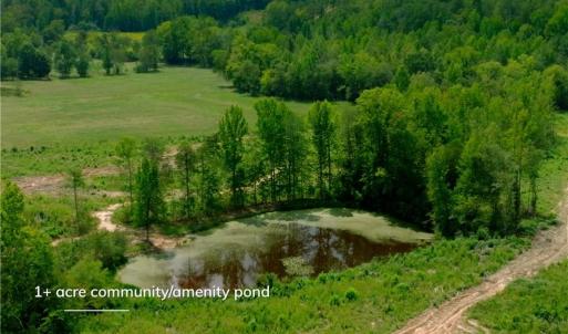Photo #16 of 1220 Alamo, Walnut Cove, NC 90.2 acres