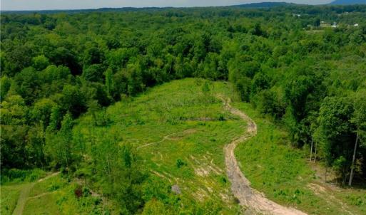 Photo #11 of 1220 Alamo, Walnut Cove, NC 90.2 acres
