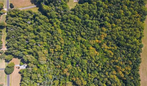 Photo #9 of 8113 Thorndike, Greensboro, NC 9.8 acres