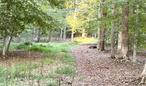 Photo #23 of 1210 Nicky, Danbury, NC 31.5 acres