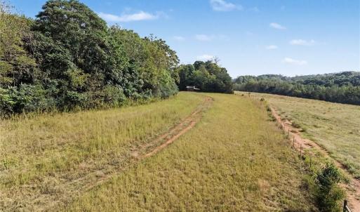Photo #6 of 1210 Nicky, Danbury, NC 31.5 acres