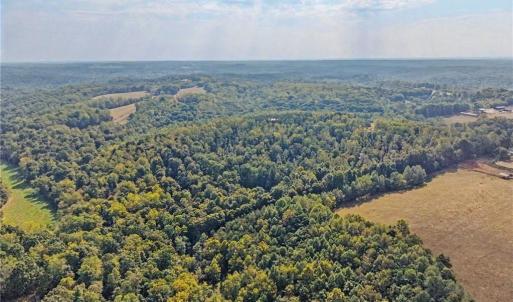 Photo #42 of 1210 Nicky, Danbury, NC 31.5 acres