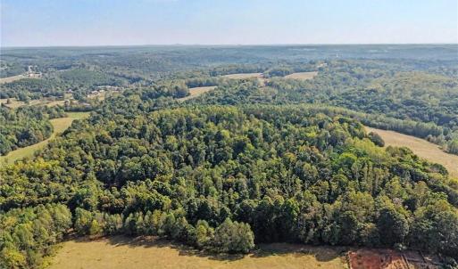 Photo #43 of 1210 Nicky, Danbury, NC 31.5 acres