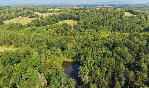 Photo #16 of 1210 Nicky, Danbury, NC 31.5 acres