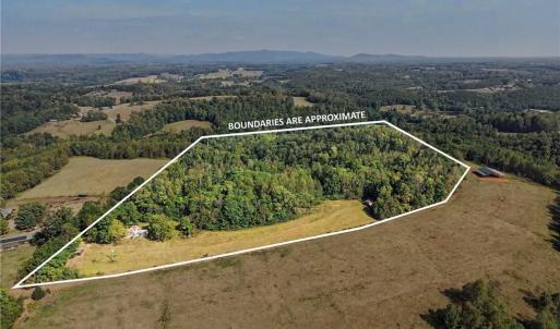 Photo #3 of 1210 Nicky, Danbury, NC 31.5 acres