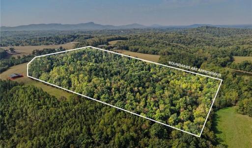 Photo #36 of 1210 Nicky, Danbury, NC 31.5 acres