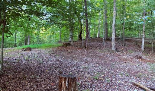 Photo #32 of 1210 Nicky, Danbury, NC 31.5 acres