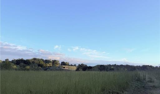 Photo #20 of 1210 Nicky, Danbury, NC 31.5 acres