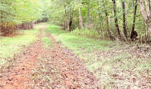 Photo #24 of 1210 Nicky, Danbury, NC 31.5 acres