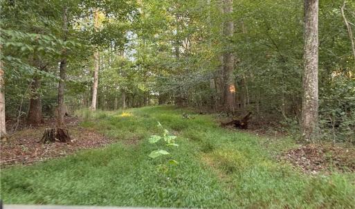 Photo #34 of 1210 Nicky, Danbury, NC 31.5 acres