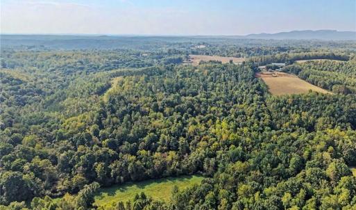 Photo #38 of 1210 Nicky, Danbury, NC 31.5 acres