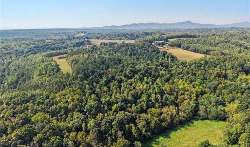 Photo #15 of 1210 Nicky, Danbury, NC 31.5 acres