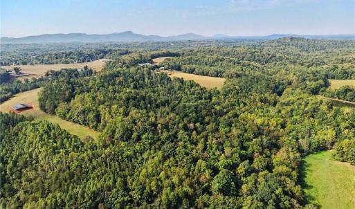 Photo #40 of 1210 Nicky, Danbury, NC 31.5 acres