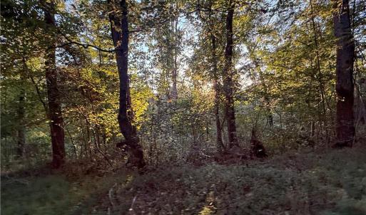 Photo #35 of 1210 Nicky, Danbury, NC 31.5 acres