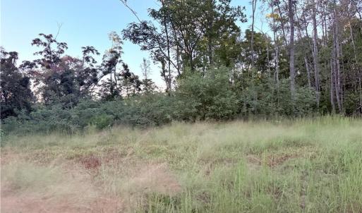 Photo #31 of 1210 Nicky, Danbury, NC 31.5 acres