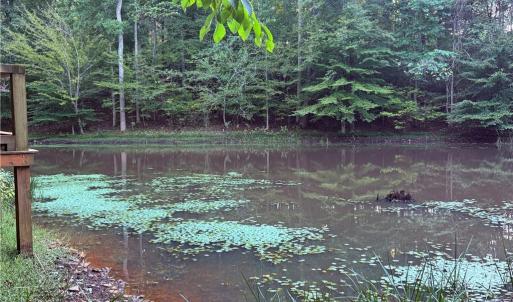 Photo #25 of 1210 Nicky, Danbury, NC 31.5 acres