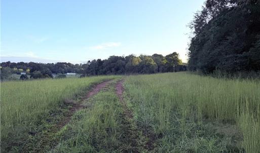 Photo #21 of 1210 Nicky, Danbury, NC 31.5 acres