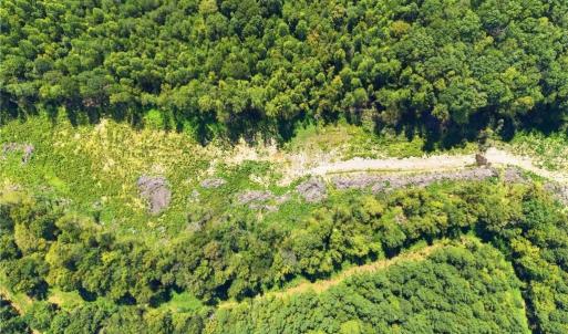 Photo #6 of 507 Birch Creek, McLeansville, NC 10.0 acres