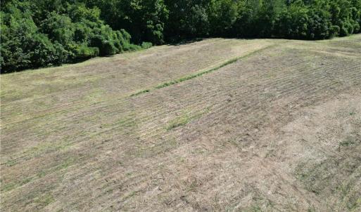 Photo #23 of Sandy Cross, Reidsville, NC 28.4 acres