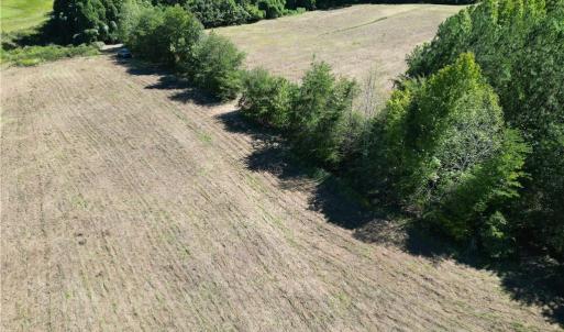 Photo #27 of Sandy Cross, Reidsville, NC 28.4 acres