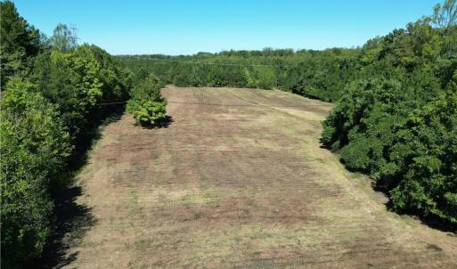 Photo #6 of Sandy Cross, Reidsville, NC 28.4 acres