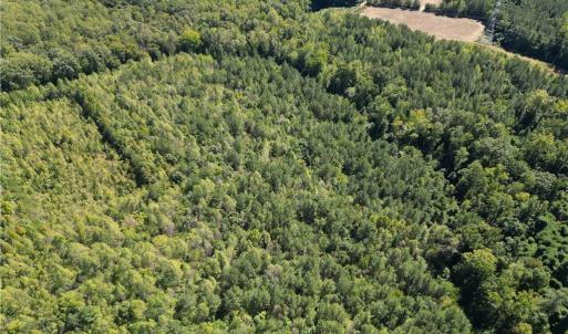 Photo #13 of Sandy Cross, Reidsville, NC 28.4 acres