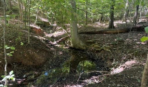 Photo #43 of Sandy Cross, Reidsville, NC 28.4 acres