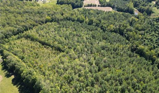 Photo #12 of Sandy Cross, Reidsville, NC 28.4 acres