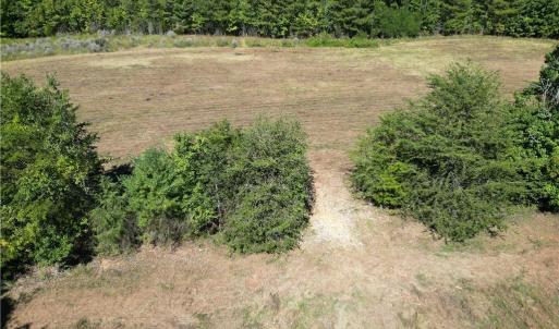 Photo #22 of Sandy Cross, Reidsville, NC 28.4 acres