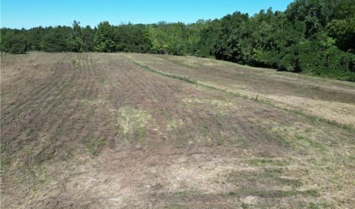 Photo #3 of Sandy Cross, Reidsville, NC 28.4 acres